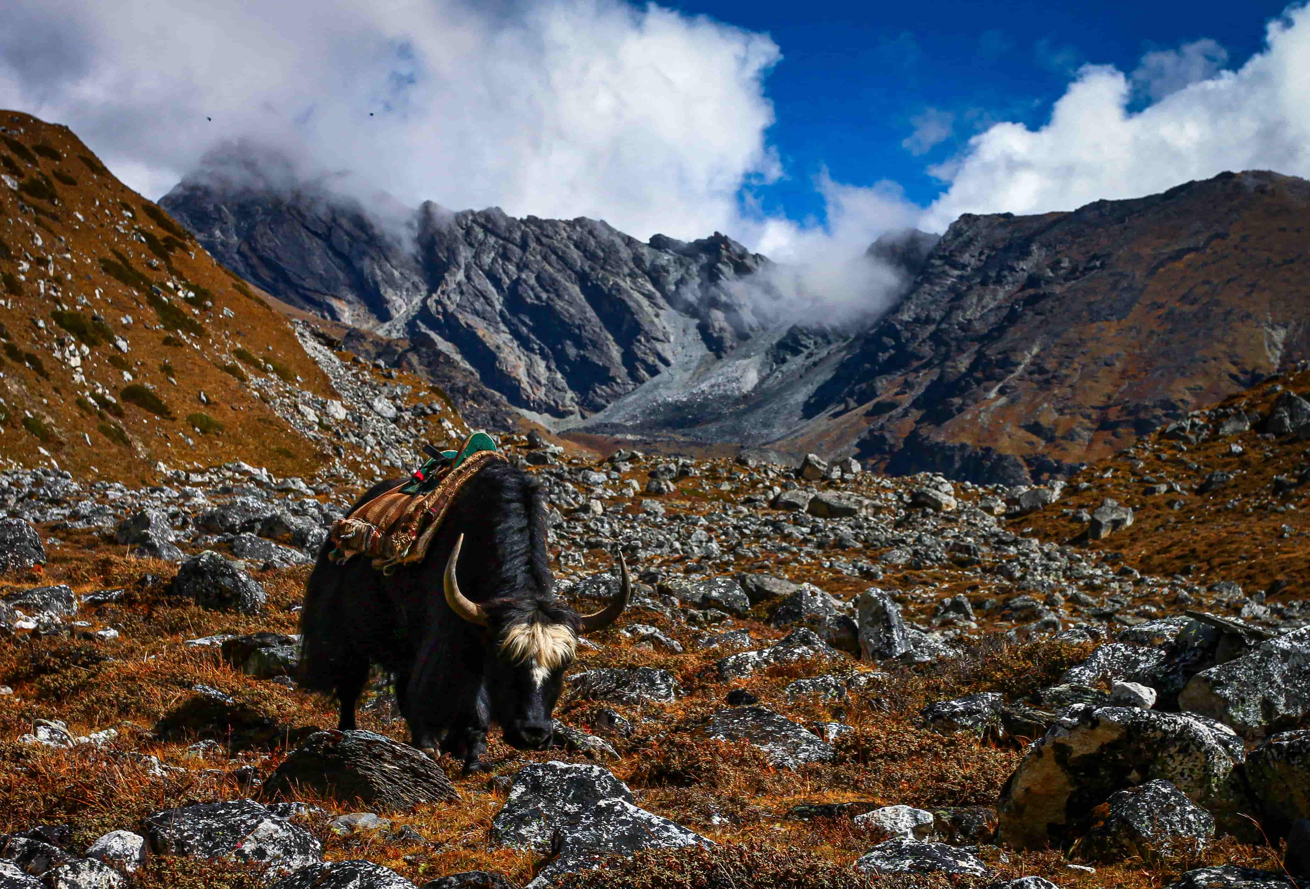 10-Days Tibet Tour (Lhasa to Everest Base Camp)